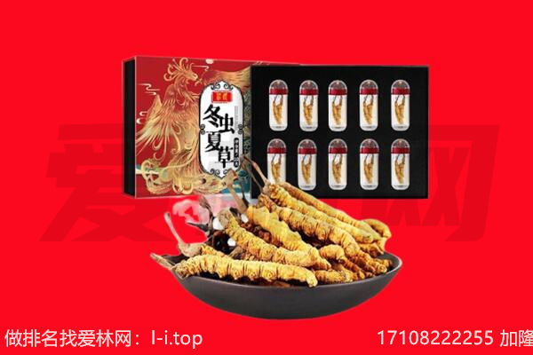 秦安县回收虫草.jpg